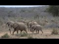 David Sheldrick Wildlife Trust at Ithumba