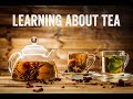 Understanding Tea with Don Mei