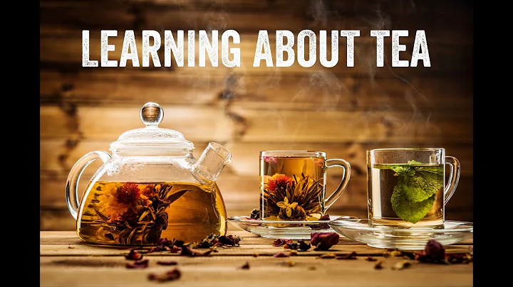 Understanding Tea with Don Mei - DayDayNews