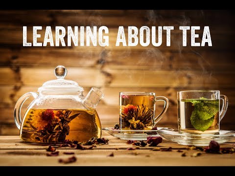 Video: What Do You Need To Know About Tea? Types And Preparation