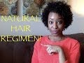 Current Natural Hair Regimen