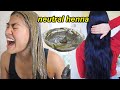How to properly use COLORLESS HENNA | Cassia Treatment for healthy thicker hair