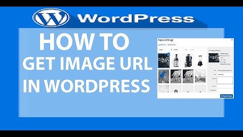 How to Get Image URL in Wordpress | kaise ap image ka url hasil kr k image lagaty hein