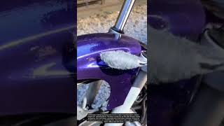 Scratch Repair Hack