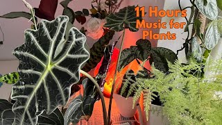 11 Hours Music for Plants To Stimulate Plant Growth and Happiness screenshot 4