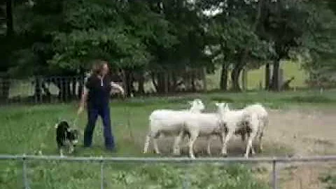 Hubert Bailey lesson 1.mov