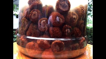 CÁCH NGÂM RƯỢU QUẢ TÁO MÈO THƠM, NGỌT, NGON