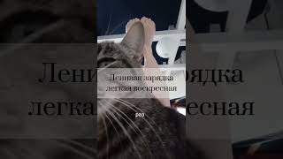 Ленивая зарядка - легкая воскресная