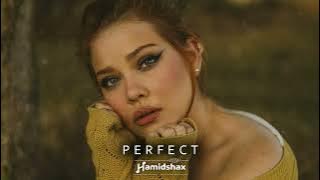 Hamidshax - Perfect (Original Mix)