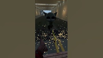 YOU CAN RUN BUT YOU CAN