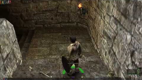 Dungeon Siege - Walk through Episode 3 | 1080p 60fps