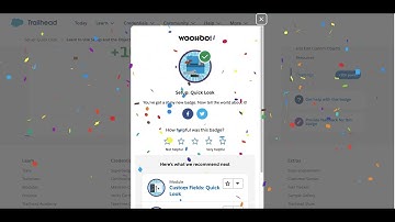 Learn to Use Setup and the Object Manager | Setup: Quick Look | Salesforce | Module