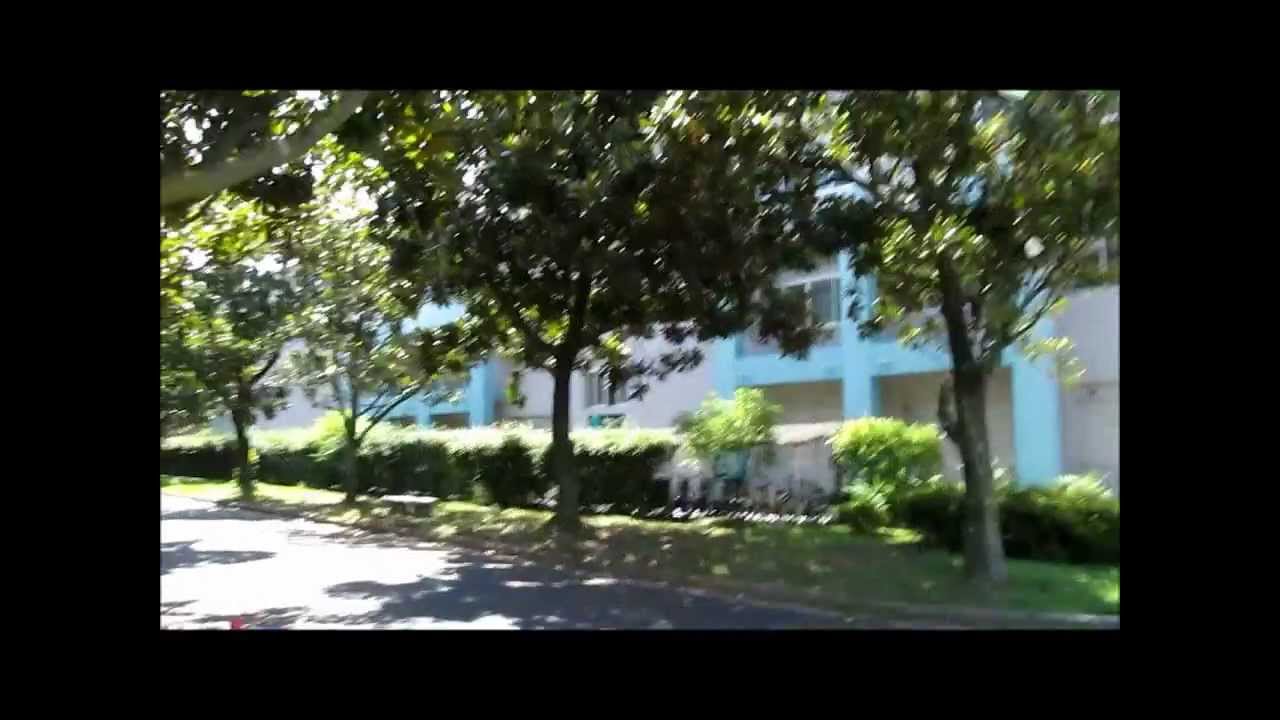 My Japanese University - Campus Tour - YouTube