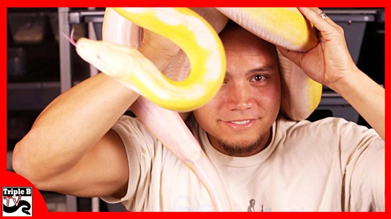 pet snakes and dogs What Should I Name my Snake? : Triple B TV - Ep. Heinz57