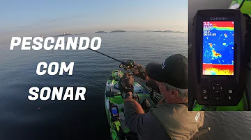 Como funciona sonar Garmin striker 4?