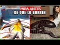 Asia Sorprende al Mundo con lo ESPANTOSO QUE ACABARON DE ENCONTRAR- Documental