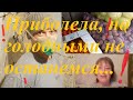 Переезд из Сибири на Кубань./ Еда на армию. Немного приболела. Ремонт прихожей начался!