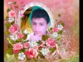 يا خسارة على حبنا شريف فهمى