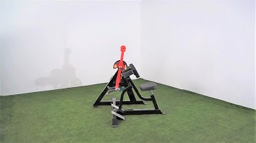 Steelflex Biceps Curl and Triceps Extension Machine PL2600