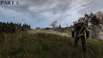 The Witcher 3 Wild Hunt Walkthrough Gameplay Part 5 The Nilfgaardian Connections