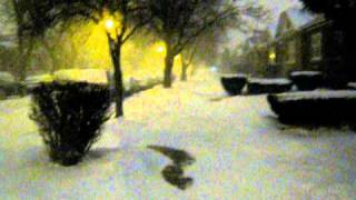 Feb 2 blizzard 1 lng.AVI