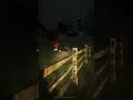 Орёл! #bendergameplay #игры #letsplay #weharvestshadows