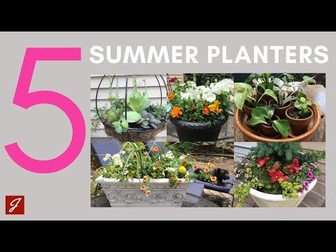 Five Super Easy Summer Planters