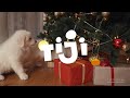 TIJI HD France Christmas Bumpers 2024