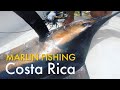 EPIC Bucket List Black Marlin caught offshore fishing in Costa Rica