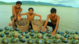 Survival in the rainforest-mans found snails for fried -Eating delicious