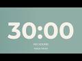 30 Minute Countdown Timer – No Sound | Deep Work