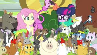 Fluttershy's animals with Timecards