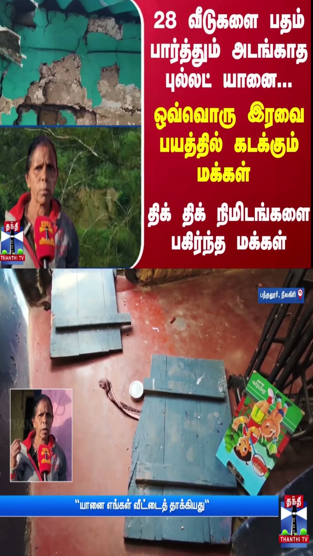 28 வீடுகளை பதம் பார்த்தும் அடங்காத புல்லட் யானை... ஒவ்வொரு இரவை பயத்தில் கடக்கும் மக்கள்
