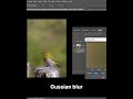 DSLR Blur Image #beginnerfriendly #photoshop #adobephotoshoptutorial