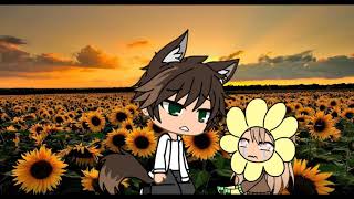 #SunflowerLuciMEP part 6