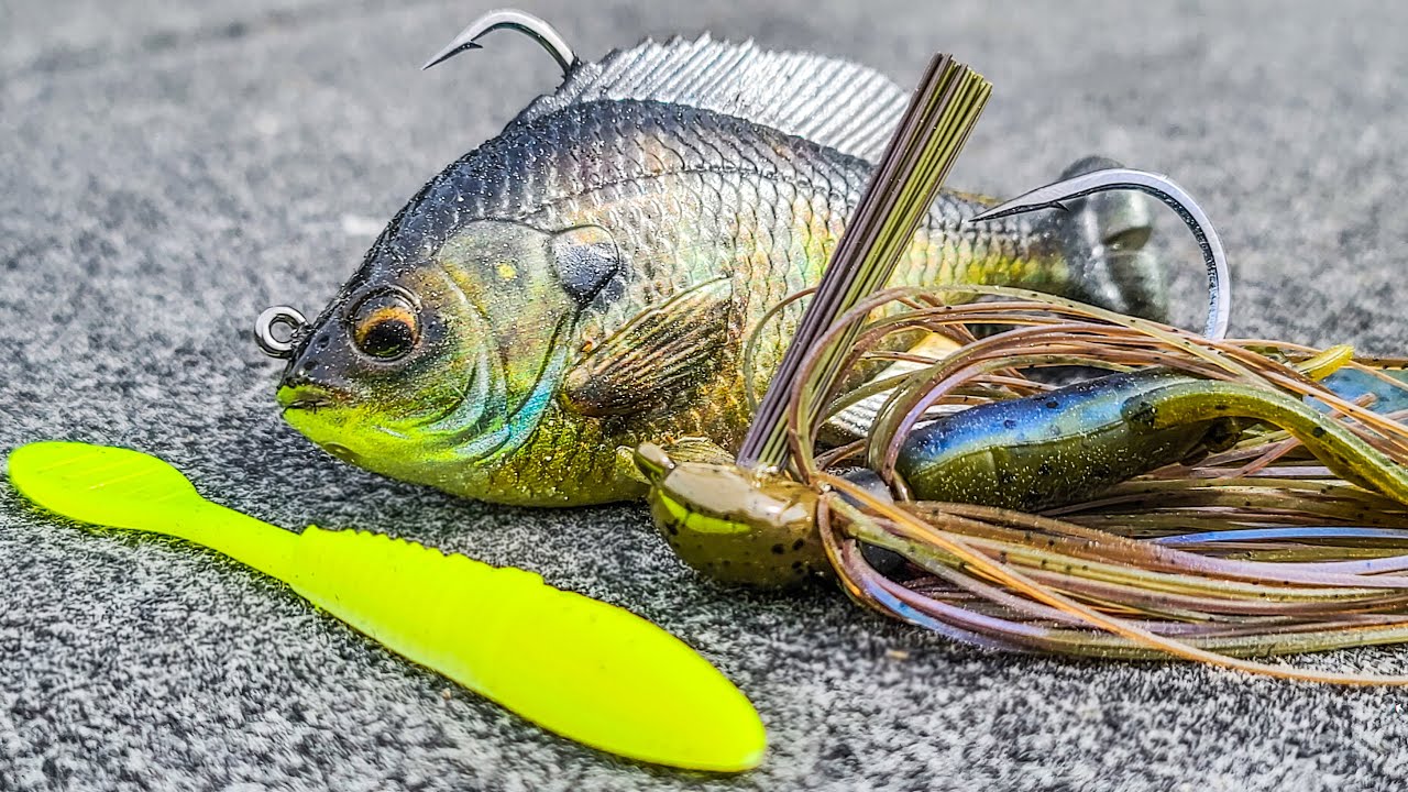 5 Sight Fishing Mistakes You Need To Avoid! (Spring Bass Fishing