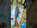 Huge Dolphin found on the bank of Bagmati river in Rautahat 😯 #dolphin #shorts
