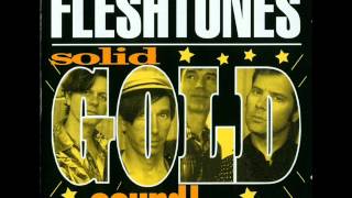 Video thumbnail of "The Fleshtones - Solid Gold Sound"