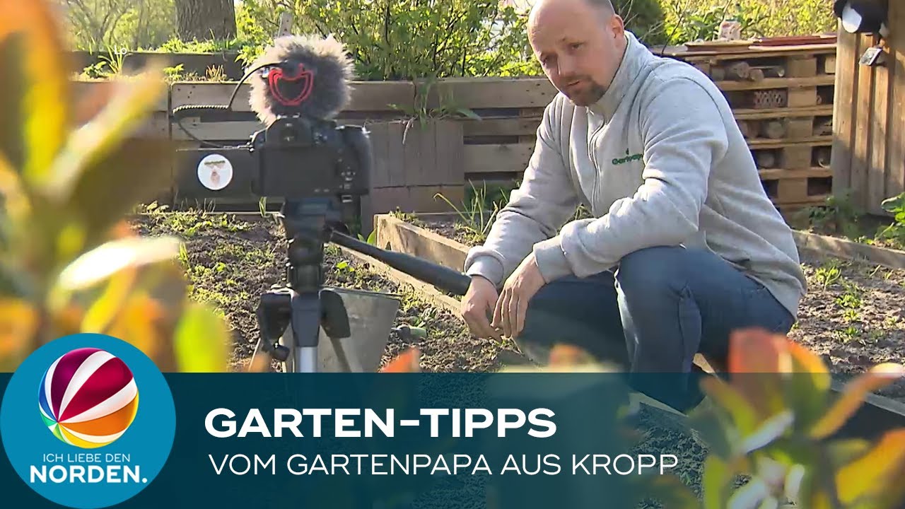Beet gestalten, Hühnerhaus bauen GartenInfluencer gibt hilfreiche