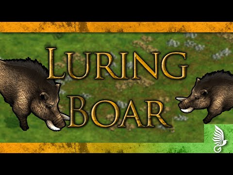Luring Boar - Two Minutes Or Less
