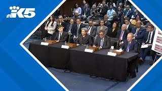 Senators question tech CEOs on A.I.