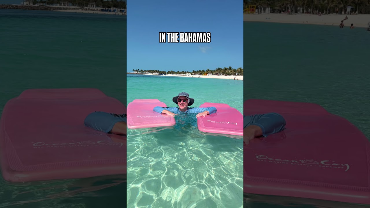 JUST STUNNING! #oceancay #msc #msccruises #bahamas #island #marinelife #paradise #cruise