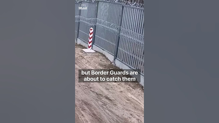 Dramatyczny moment, w którym uzbrojeni żołnierze odcięli migrantów przekraczających granicę białorusko-polską