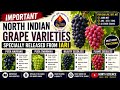 Top North Indian Grape Varieties You Must Know | Fruit Science | Horticulture Exams