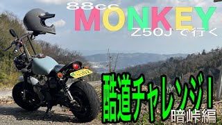モンキーピーク １２ P2-N180FTS02-JY-2T.jpg