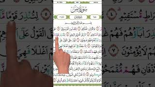 Experience a moment of peace and tranquility with this soulful recitation of Surah Al-Mulk from the