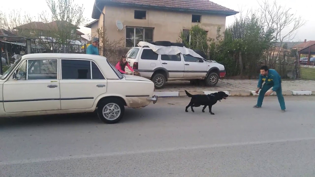 Мой автомобиль мусы джалиля