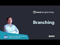 Branching | Visual Programming | Bahasa Indonesia