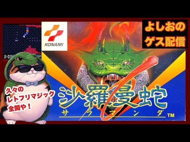 沙羅曼蛇 サラマンダ ゴーファーの野望 ポスター サラマンダー Amazon