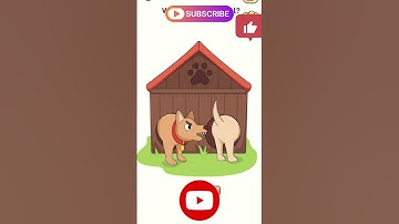 Funny shorts videos. DOP 5 game. #funny #gameplay #comedy #funny